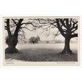 Terrace Field Haileybury & Imperial Service Col...