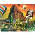 New Mexico 3D Fridge Magnet