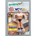 wwf ljn hasbro galoob wrestling superstars dama...