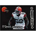 2012 Panini NFL Sticker Collection - #101 - D'Q...