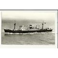 British-India SN Co. MV CHAKDARA Company Postcard