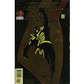 Ray (Vol 1) # 001 NM MODERN AGE COMICS