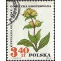 POLAND, FLOWER, Gentiana puncttata, white 1967,...