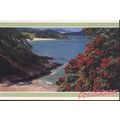 New Zealand PC 1997 - Pohutukawas in bloom, New...