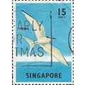SINGAPORE, BIRD, Black-naped Tern, Sterna, blue...