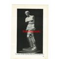 Venus Of Milo, Greek Goddess, Book Illustration...