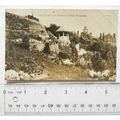 vintage postcard Felixstowe, Spa Gardens & Serp...