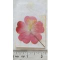 vintage Pin Badge - Red Flower