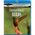 Nature: Extraordinary Birds (Blu-ray + DVD + Di...