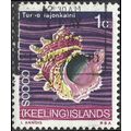 COCOS KEELING ISLANDS, MOLLUSC, Turbo lajonkair...