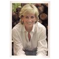 DIANA..THE PEOPLE'S PRINCESS Mirror Newspaper G...