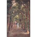 Queen Mary's Bower, Hampton Court Palace, Middl...