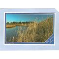 New Jersey Barnegat Bay Greetings From The New ...
