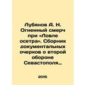 A. N. Lubyanov Fiery Storm at the Catch of Stur...