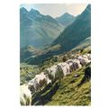 PYRENEES MOUNTAINS , FRANCE used postcard 1982 ...