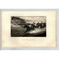 (4844) Harrington Bird ISINGLASS Horse Derby Wi...