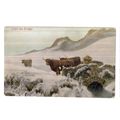 HIGHLAND CATTLE IN THE SNOW SCOTLAND unused ant...