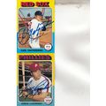 CARL YASTRZEMSKI & GREG LUZINSKI AUTO 2011/03 R...