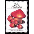 Australia 1981 Fungi 24c MNH Stamp