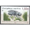 TAAF 2017 Insecte Amalopteryx maritima Neuf **