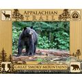 Appalachian Trail The Great Smoky Mountains Las...