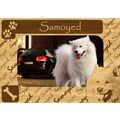 Samoyed w Paws Engraved Wood Picture Frame Magnet