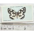 1927 Wills British Butterflies No. 46 Marbled W...