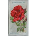 1926 Wills Roses No. 44 National Emblem
