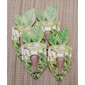 Rocket Salad Leaf Seed Pod x 4 Seed Cell 100% B...