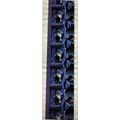 Back to the Future 2. Pk HCH - A019s . - 1 STRI...
