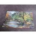 Valentines Postcard - Tare Steps, Dulverton Exm...