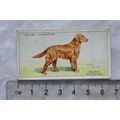 1937 Wills Dogs No. 25 Golden Retriever