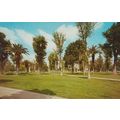Court House Park Gardens Merced Calafornia Post...