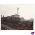 Railway Photo BR Class 35 Hymek D7014 BRISTOL T...