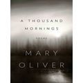 A Thousand Mornings