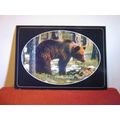 BROWN BEAR, SWEDEN used postcard 2005 pm =