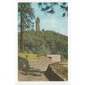 The Wallace Monument Stirling Postcard 34094