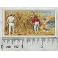 1915 Wills Overseas Dominions Australia No. 25 ...