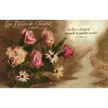 The Flowers of Friendship Les Fleurs de l'Amiti...