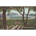 Mount San Bernardino from Redlands, California,...