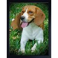 Beagle 3D fridge magnet Great Christmas stockin...