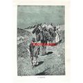 A Camel Caravan, Egypt, Book Illustration (Prin...