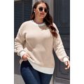 Brown Stripe Plus Size Contrast Trim Crew Neck ...