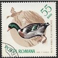 1965 Michel 2434 - cancelled - BIRD