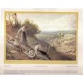 THE HILLSIDE by Myles Birket Foster. page from ...