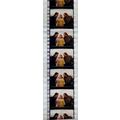 Pk GEB - Z - MIX - A 005e . 1 STRIP OF 5 - 35MM...