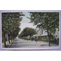 pre 1918 postcard The Avenue, Minehead