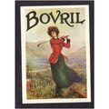 BOVRIL ( REPRODUCTION POST CARD ) - NICE COLOUR...