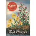 WILD FLOWERS Typhoo Tea Ltd album with 23 cards...