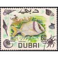 DUBAI, FISH, Pork Fish, green 1969, 60 Dh